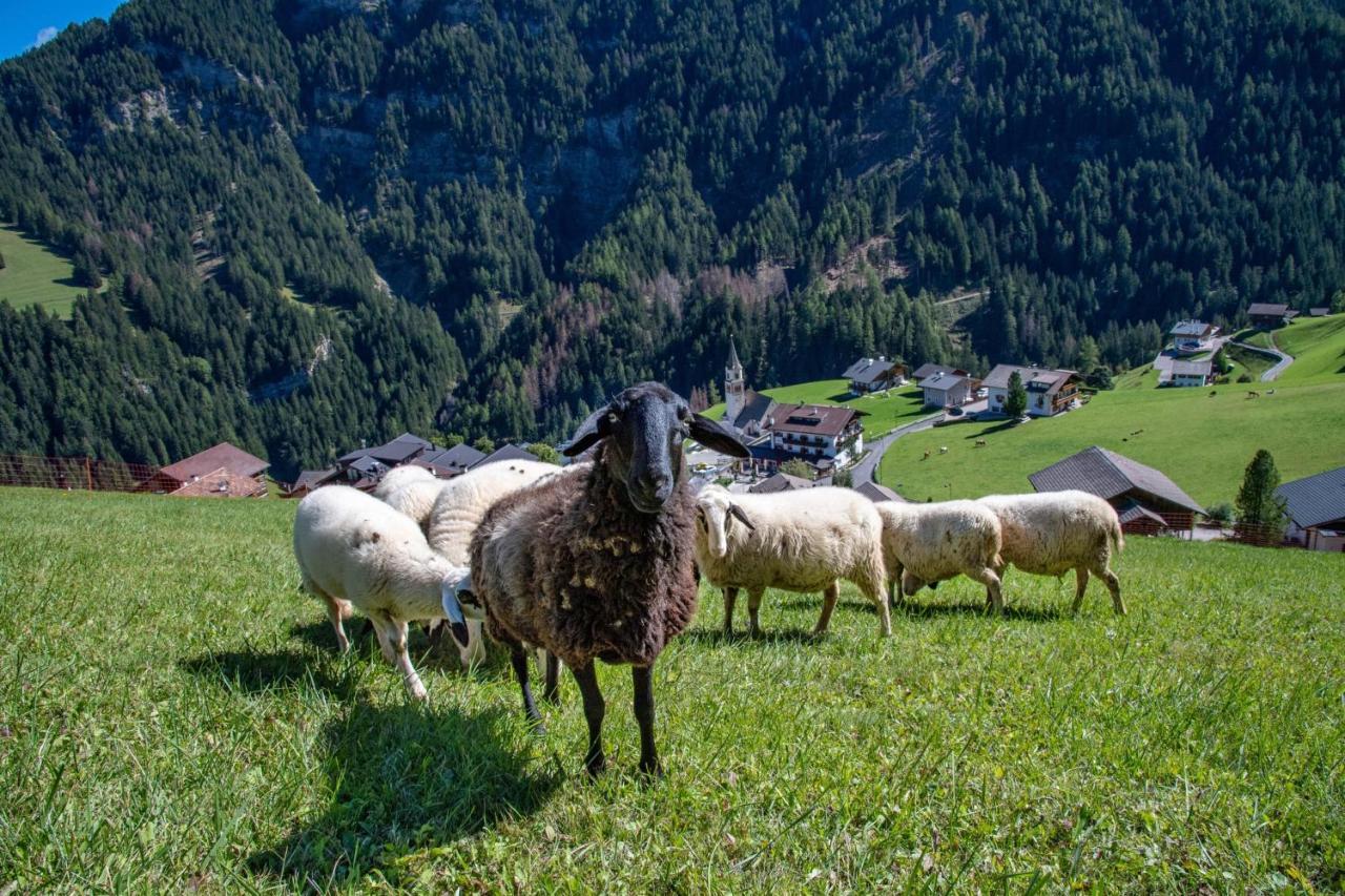 Agriturismo Apartments Tuene โอติเซ ภายนอก รูปภาพ